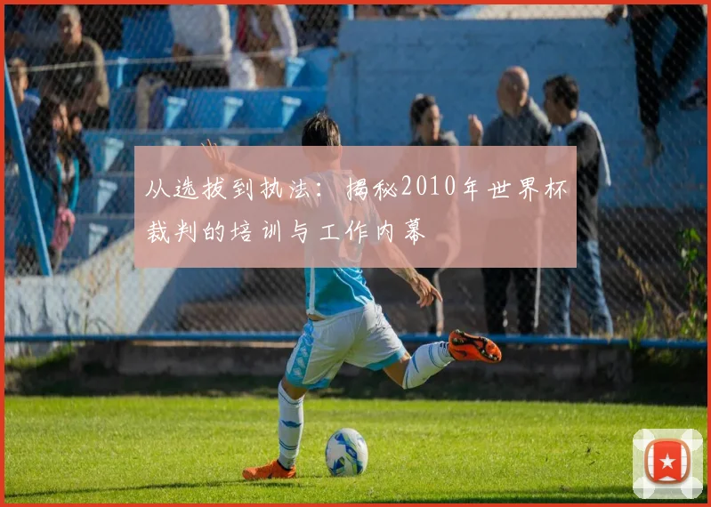 从选拔到执法：揭秘2010年世界杯裁判的培训与工作内幕