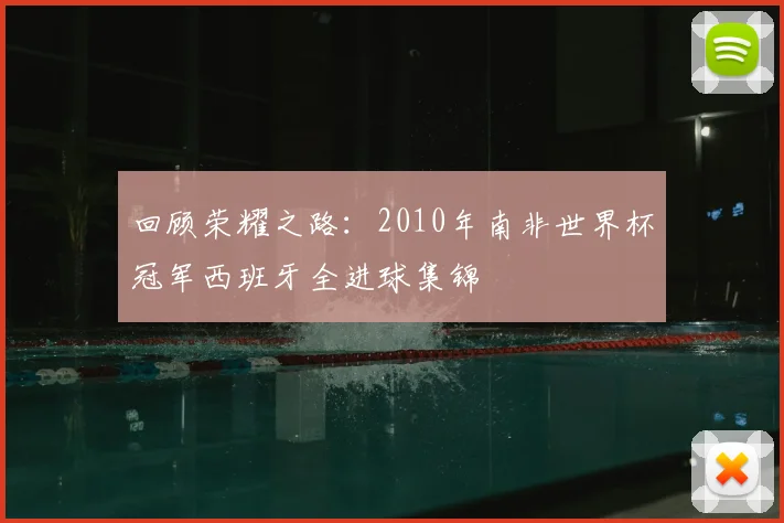 回顾荣耀之路：2010年南非世界杯冠军西班牙全进球集锦
