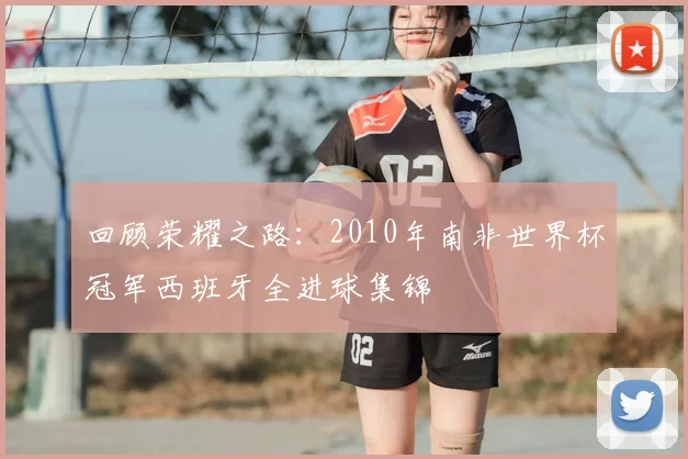 回顾荣耀之路：2010年南非世界杯冠军西班牙全进球集锦