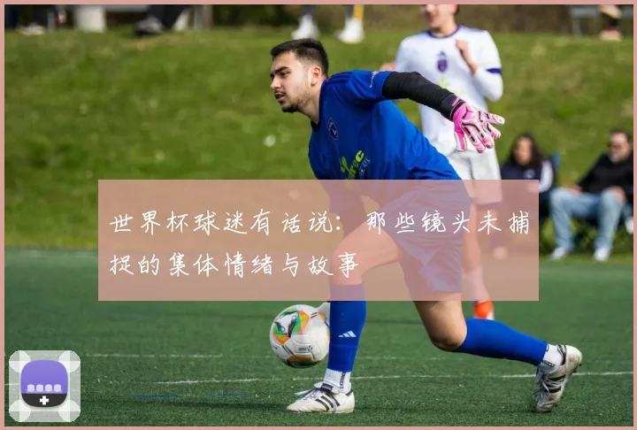 世界杯球迷有话说:那些镜头未捕捉的集体情绪与故事