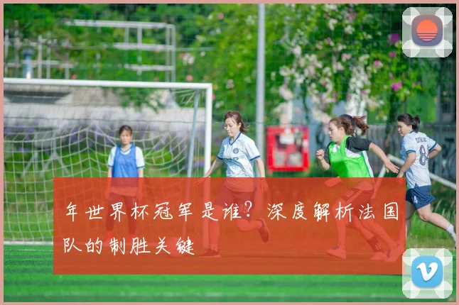 年世界杯冠军是谁？深度解析法国队的制胜关键