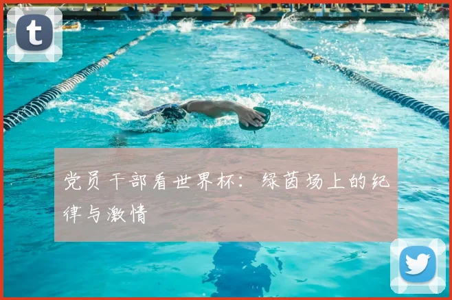 党员干部看世界杯:绿茵场上的纪律与激情