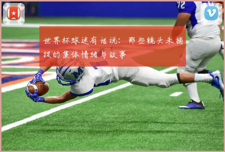 世界杯球迷有话说:那些镜头未捕捉的集体情绪与故事