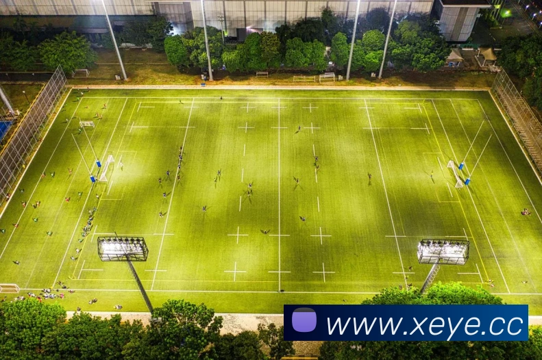 多媒体互动体验